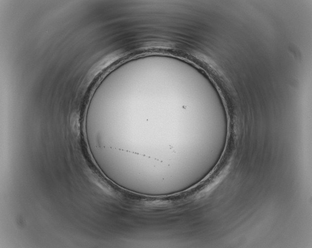 X0000113011113200909101812