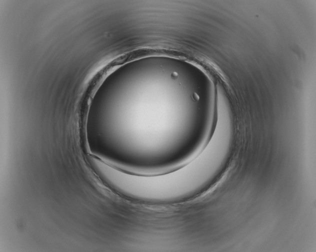 X0000113011114200909101812