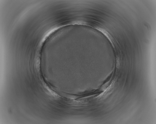 X0000113011115200909101812