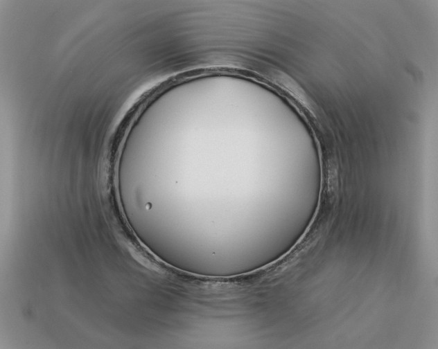 X0000113011116200909101812