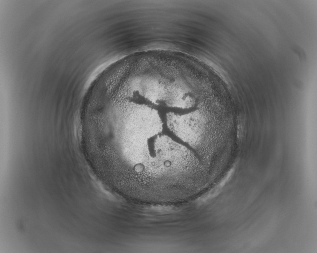 X0000113011117200909101812