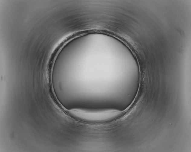 X0000113011118200909101812