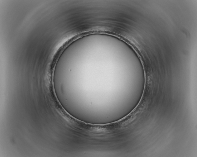 X0000113011119200909101812