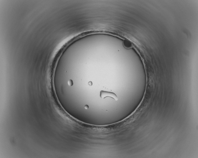 X0000113011120200909101812