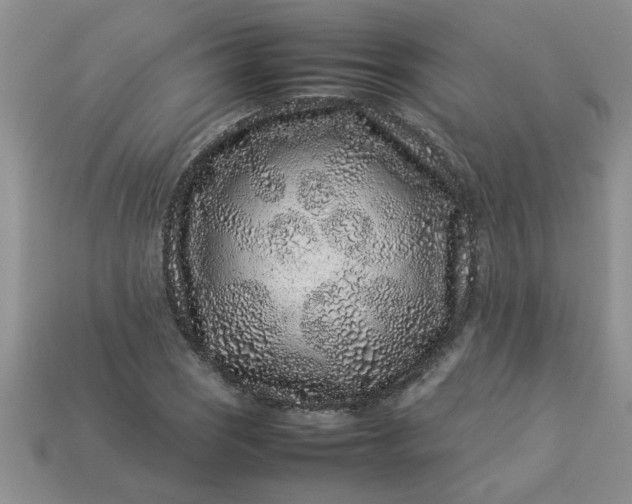 X0000113011121200909101812