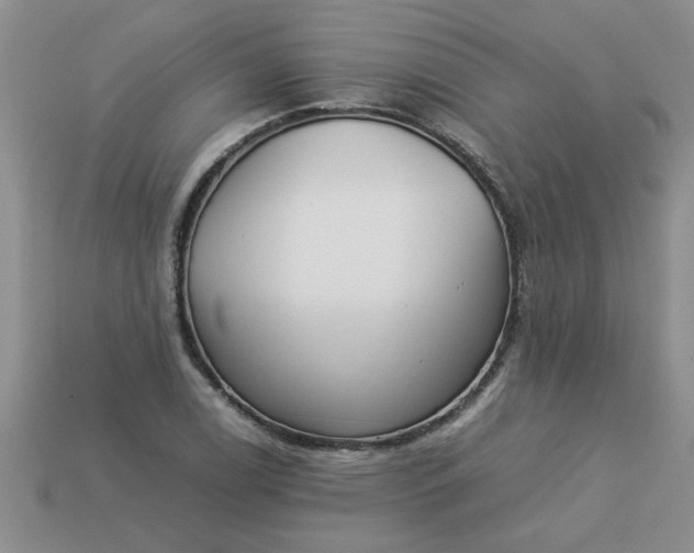 X0000113011122200909101812