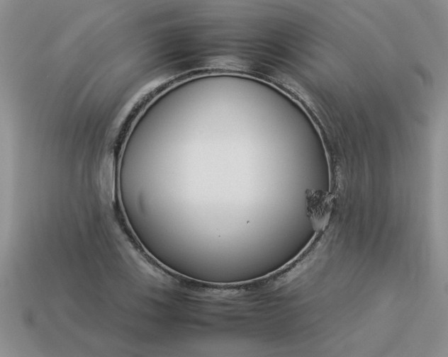 X0000113011123200909101812