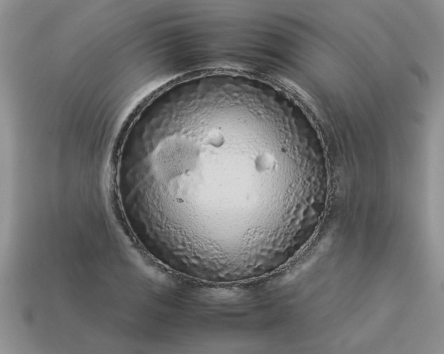 X0000113011125200909101812