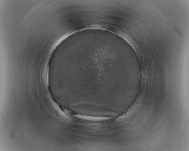 X0000113011127200909101812