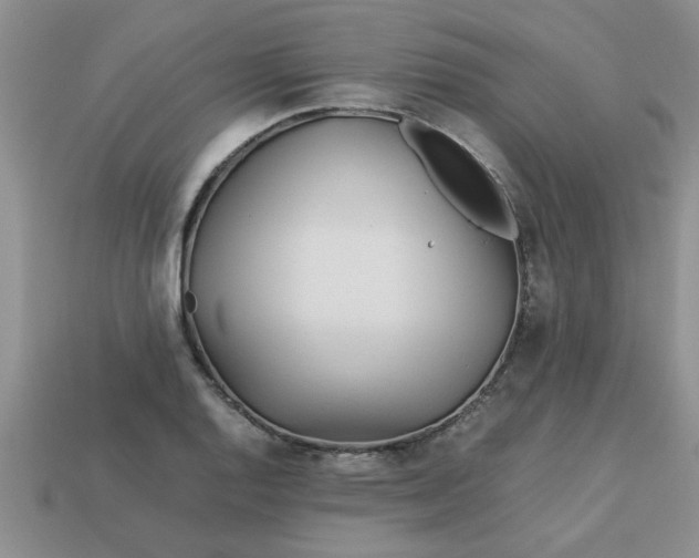 X0000113011128200909101812