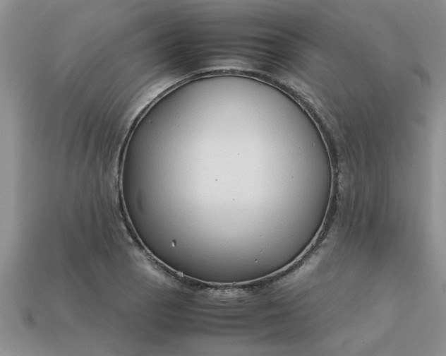 X0000113011129200909101812