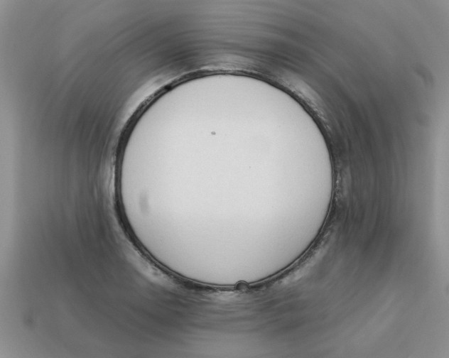 X0000113011130200909101812