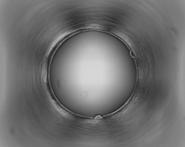 X0000113011131200909101812