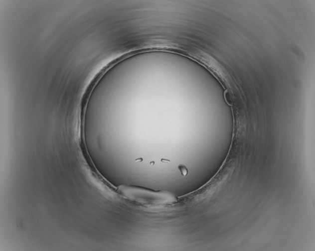 X0000113011132200909101812