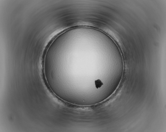 X0000113011133200909101812