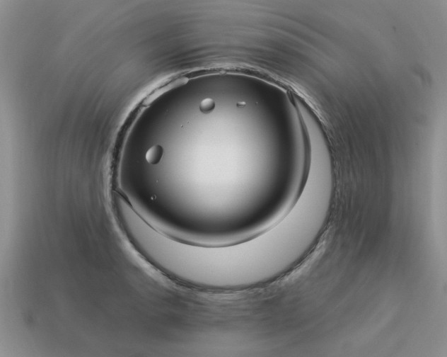 X0000113011134200909101812