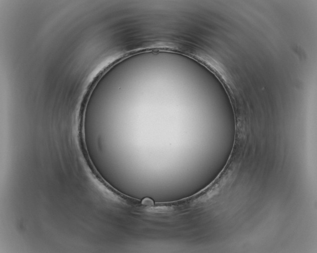 X0000113011135200909101812