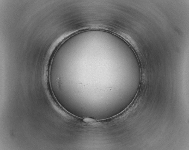 X0000113011136200909101812