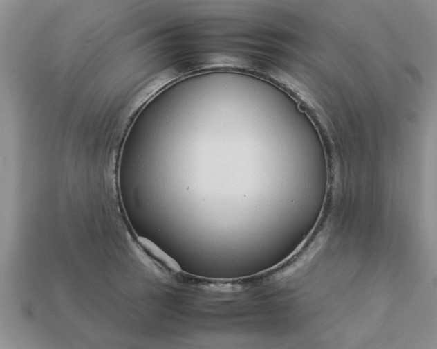 X0000113011137200909101812