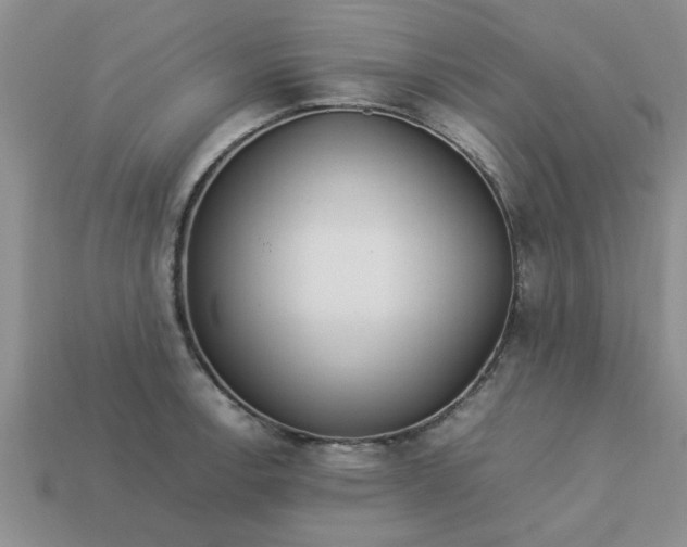 X0000113011138200909101812