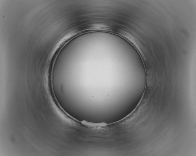 X0000113011139200909101812