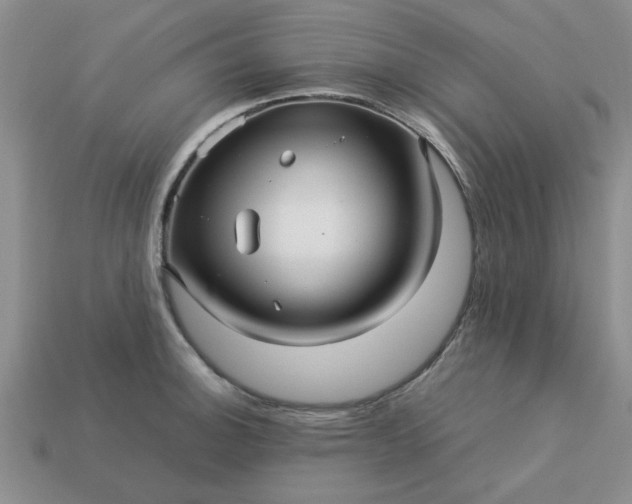 X0000113011140200909101812