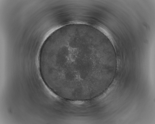 X0000113011141200909101812