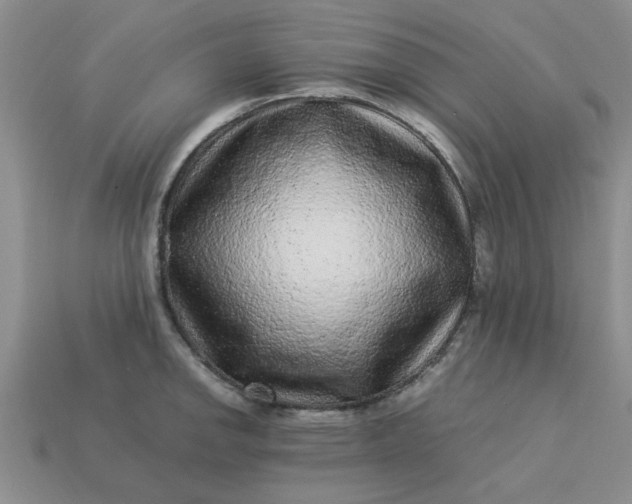 X0000113011142200909101812