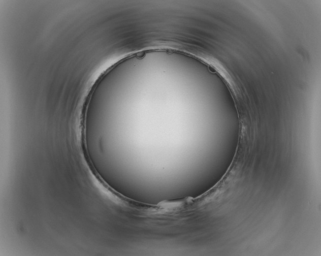 X0000113011143200909101812