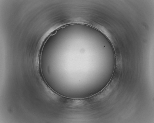 X0000113011144200909101812