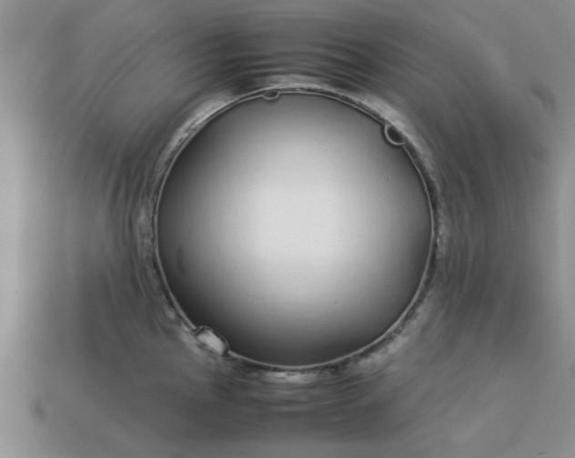 X0000113011145200909101812