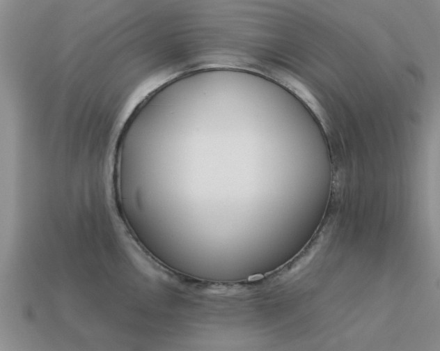 X0000113011146200909101812