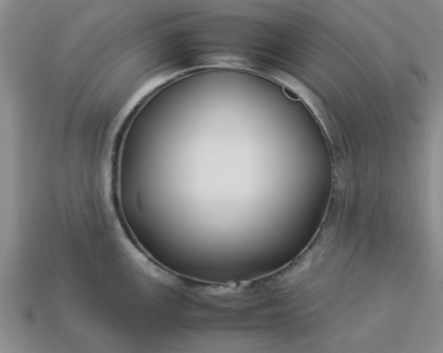 X0000113011147200909101812