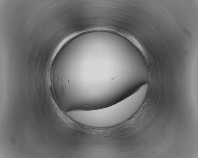 X0000113011148200909101812