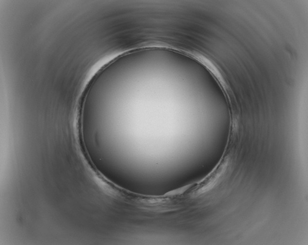 X0000113011149200909101812