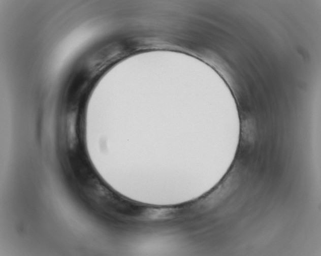 X0000113011150200909101812