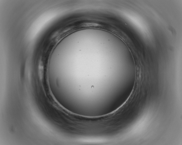 X0000113011151200909101812