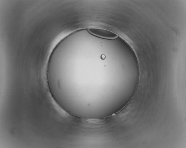 X0000113011152200909101812