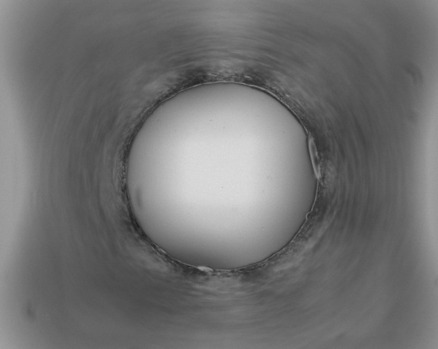 X0000113011153200909101812