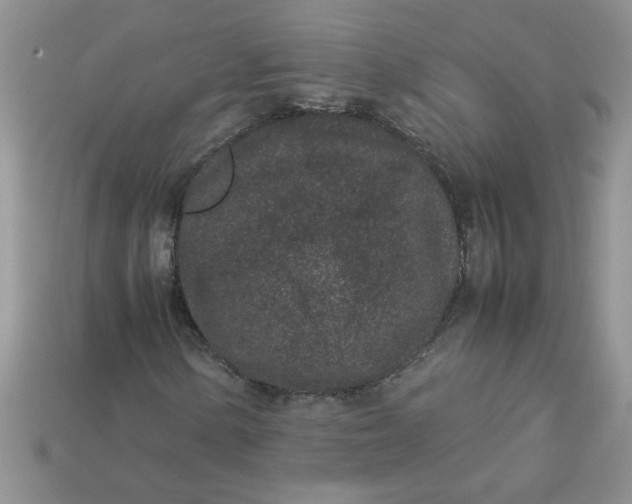 X0000113011154200909101811