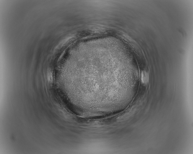 X0000113011155200909101811