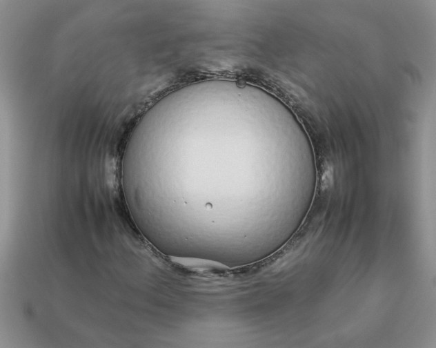 X0000113011156200909101811