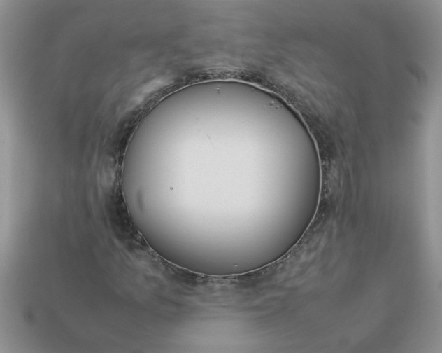 X0000113011157200909101811