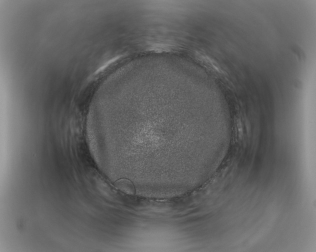 X0000113011158200909101811