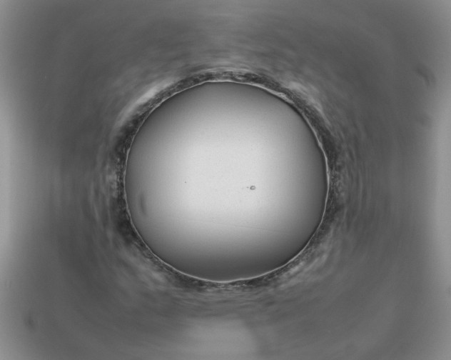 X0000113011159200909101811