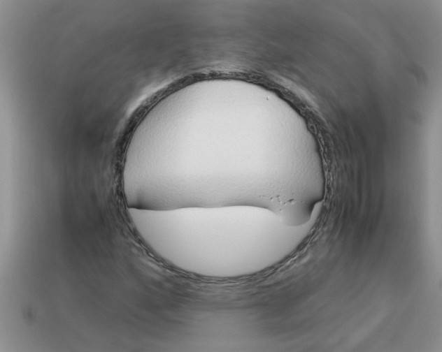 X0000113011160200909101811