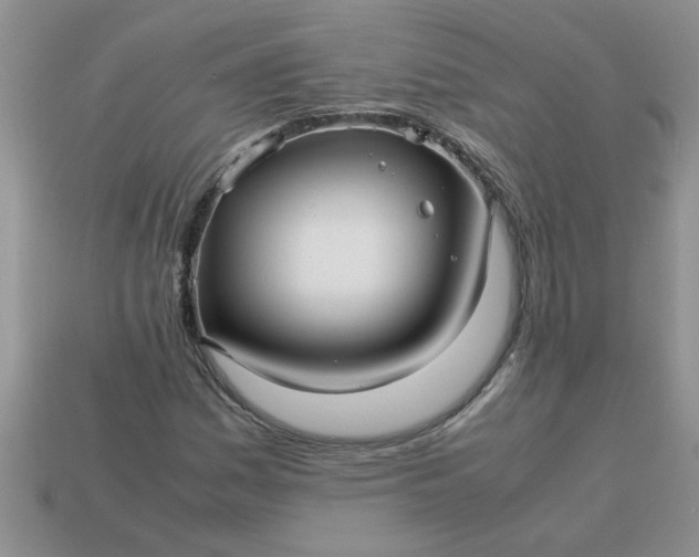 X0000113011161200909101811