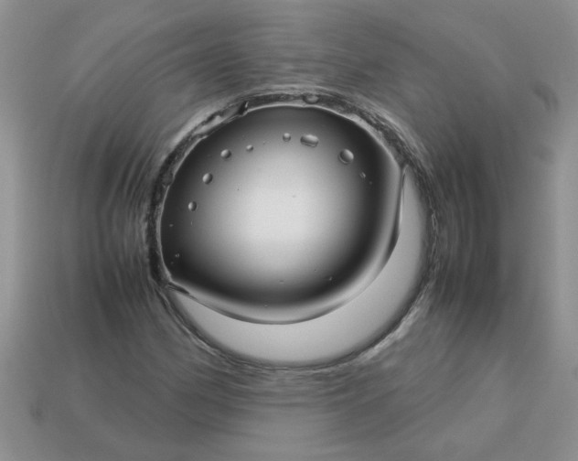 X0000113011162200909101811