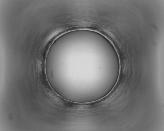 X0000113011163200909101811