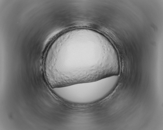 X0000113011164200909101811